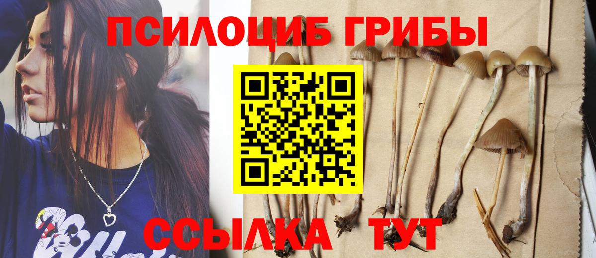 Псилоцибиновые грибы мухоморы Надым