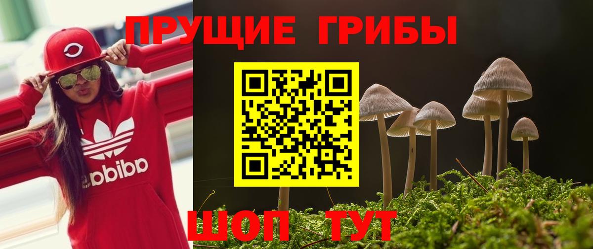 Надым  Псилоцибиновые грибы Magic Shrooms  Вход с VPN 